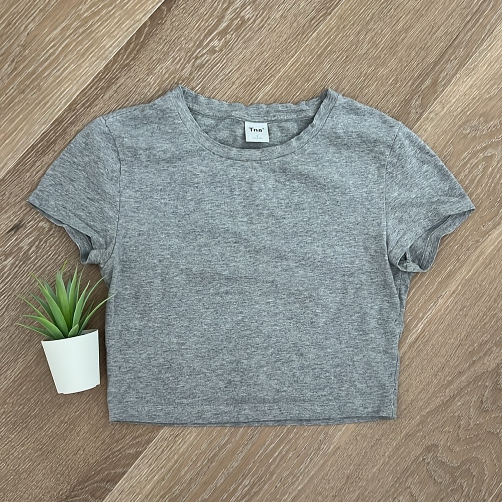 Grey Aritzia Baby Tee